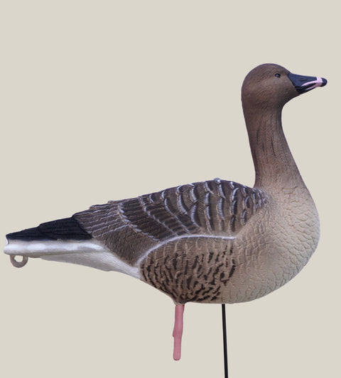 DK WAI Supreme Decoys Leightweight - Kortnæbbetgæs