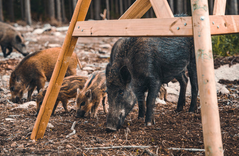 Foderautomat 1000 liter med FeedCon fra Nordic Gamekeeper