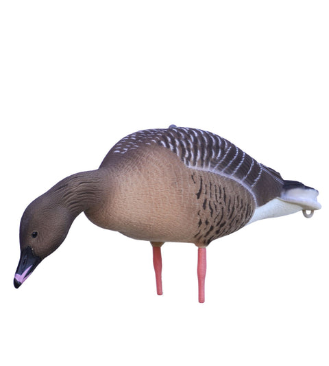 DK WAI Supreme Decoys Leightweight - Kortnæbbetgæs