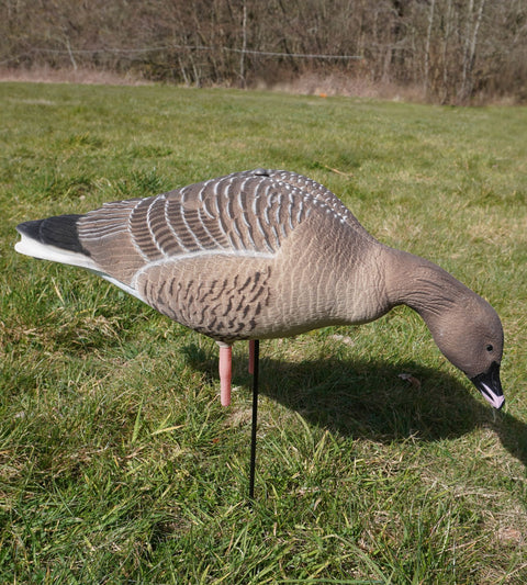 DK WAI Supreme Decoys Leightweight - Kortnæbbetgæs
