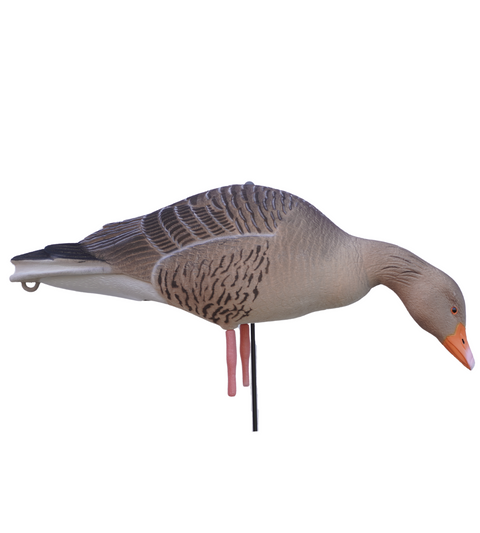 DK WAI Lokkegæs - Supreme Lightweight Decoys - GRÅGÆS