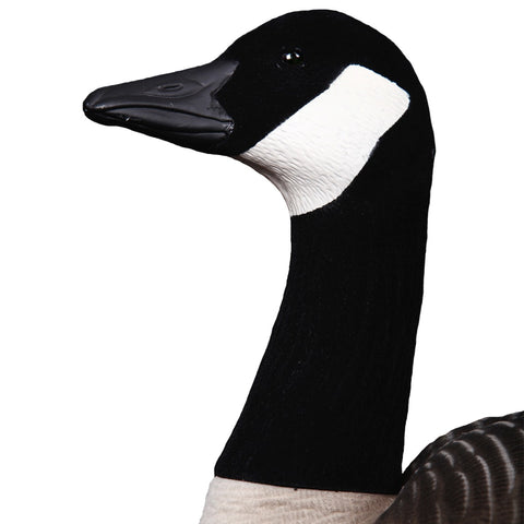 DK WAI lokkefugle -  6 Full Body Canadagæs til gåsejagt