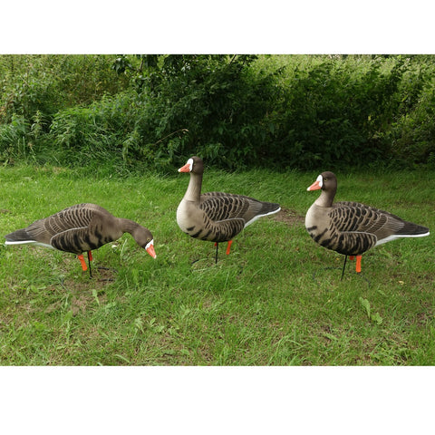 Full Body Blisgæs fuldt flockede - 6 stk DK WAI Supreme Decoys -NY SERIE PÅ VEJ