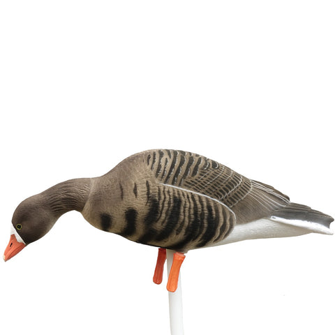 Full Body Blisgæs fuldt flockede - 6 stk DK WAI Supreme Decoys -NY SERIE PÅ VEJ