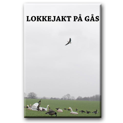 Lokkejakt paa gaas